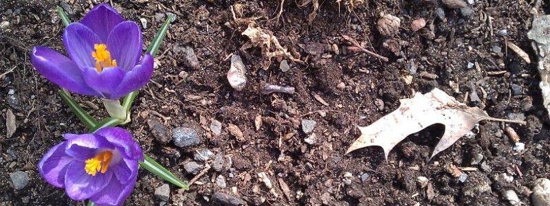 wpid-IMG_20110330_143810.jpg