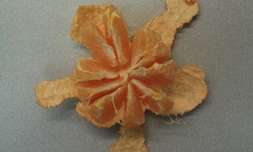 wpid-IMG_20110415_125219.jpg