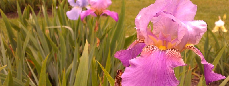 wpid-IMG_20110528_134327.jpg