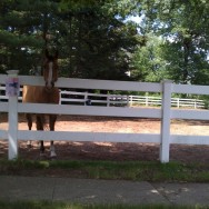 wpid-IMG_20110704_143458.jpg