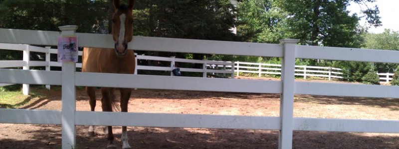 wpid-IMG_20110704_143458.jpg
