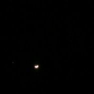 wpid-IMG_20120226_204853_resized.jpg