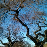 wpid-IMG_20120314_180540.jpg