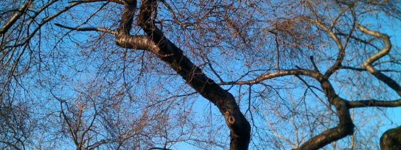 wpid-IMG_20120314_180540.jpg